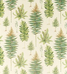 Fernery Fabric by Sanderson Olive