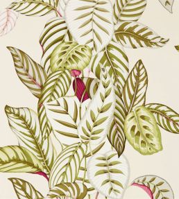 Calathea Wallpaper by Sanderson Olive