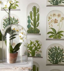 Terrariums Wallpaper by Sanderson Chalk/Green