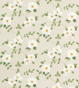 Poets Rose Fabric by Sanderson Linen