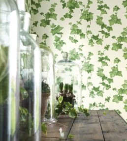 Hedera Wallpaper by Sanderson Green
