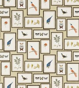 Picture Gallery Wallpaper by Sanderson Sand/Multi