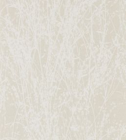 Meadow Canvas Wallpaper by Sanderson White/Parchment