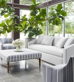 Saraband Fabric by Thibaut Onyx