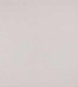 Sashi Fabric by Black Edition Silver Birch