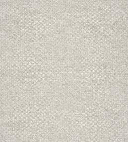Sasso Fabric by Thibaut Stone