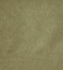 Savona Fabric by Kai Aloe
