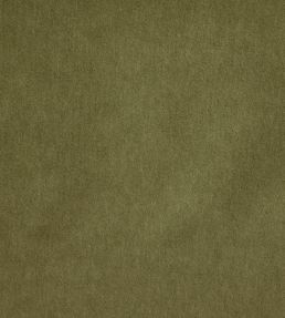 Savona Fabric by Kai Olive