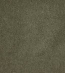 Savona Fabric by Kai Pine