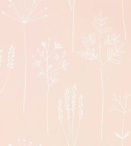 Stipa Wallpaper by Scion Blush