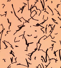 Scribble Wallpaper by Kirkby Design Amber