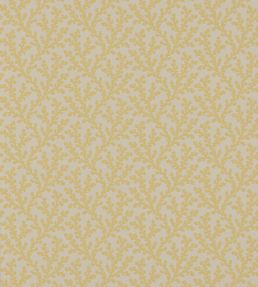 Sea Coral Wallpaper by Colefax and Fowler Yellow