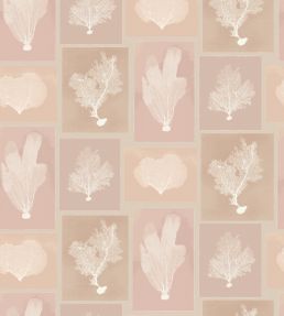 Sea Fans Wallpaper by DADO 02 Blush