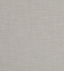 Seda Fabric by Clarke & Clarke Mist