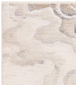 Asiatic Seville rug 02 Setas SEVI1201800002 02 Setas
