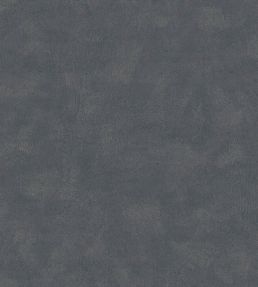 Shades Wallpaper by Borastapeter Chromite