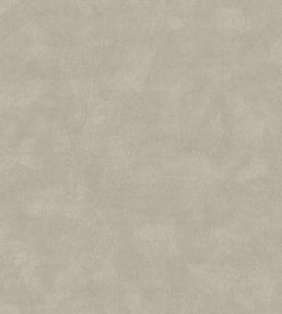 Shades Wallpaper by Borastapeter Flint
