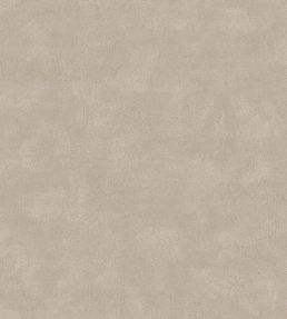 Shades Wallpaper by Borastapeter Sandstone