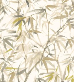 Shadow Bamboo Wallpaper by Ohpopsi Oyster Mix