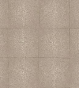 Shagreen Wallpaper by Arte Warm Grey