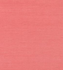 Shang Extra Fine Sisal Wallpaper by Thibaut Coral