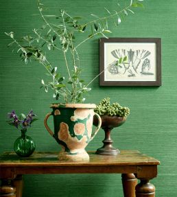 Shang Extra Fine Sisal Wallpaper by Thibaut Coral