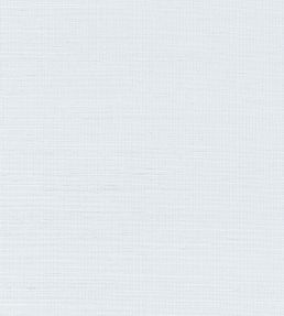 Shang Extra Fine Sisal Wallpaper by Thibaut Mist