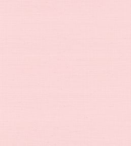 Shang Extra Fine Sisal Wallpaper by Thibaut Shell