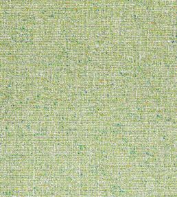 Shannon Fabric by Thibaut Leaf