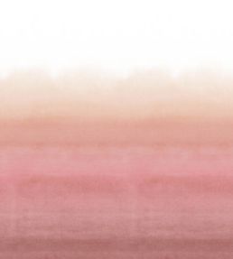 Shoshi Mural by Designers Guild Coral