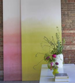 Shoshi Mural by Designers Guild Coral