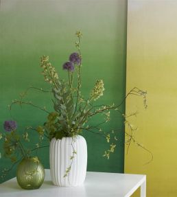 Shoshi Mural by Designers Guild Coral