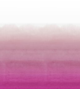Shoshi Mural by Designers Guild Fuchsia
