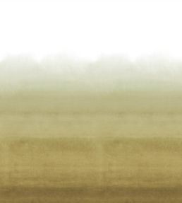 Shoshi Mural by Designers Guild Sepia