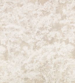 Sikora Sheer Fabric by Romo Stone