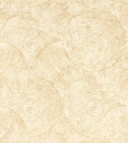 Silvan Wallpaper by Clarke & Clarke Sahara