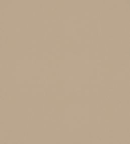 Sirocco Fabric by Warwick Dune