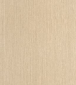 Sisal Wallpaper by Caselio Beige