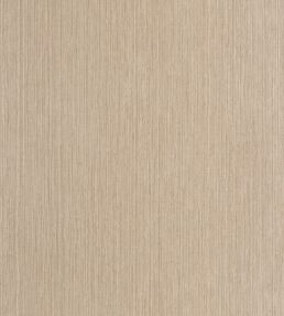 Sisal Wallpaper by Caselio Cacao