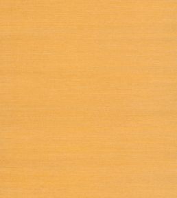 Sisal Wallpaper by Nobilis Pale Orange
