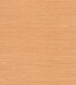 Sisal Wallpaper by Nobilis Wheat