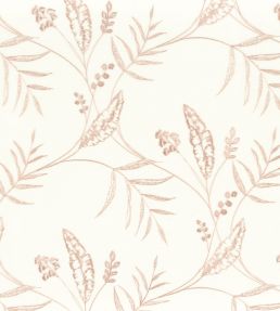 Sisteron Sheer Fabric by Camengo Nude
