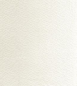 Smooth Fabric by Camengo Neige