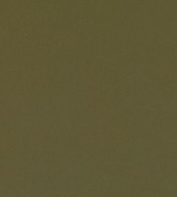 Smooth III Fabric by Kirkby Design Olive