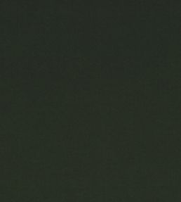Smooth III Fabric by Kirkby Design Pine Green