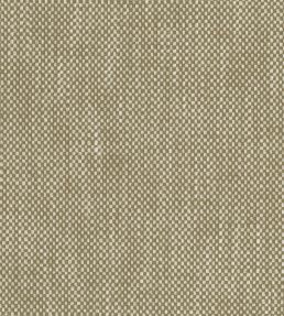 Snicket Fabric by Nina Campbell Beige