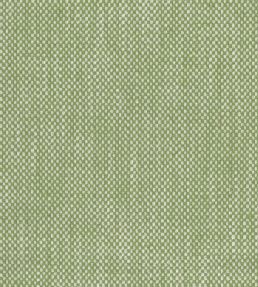 Snicket Fabric by Nina Campbell Green