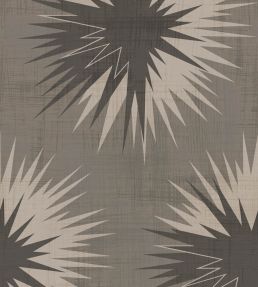 Soft Thistle Wallpaper by Cole & Son Dove Grey & Charcoal