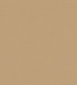 Solaire Fabric by Warwick Camel