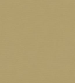 Solaire Fabric by Warwick Citrus